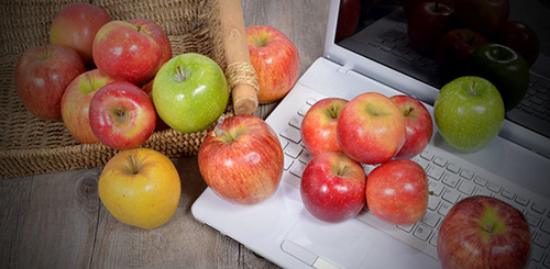 mein_biokorb_pausenkorb