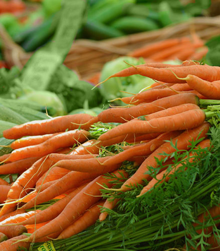 biohofschaf_hofladen_bio_obst_mohren_aus-thüringen