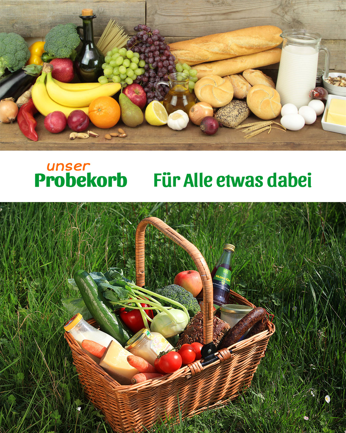 mein_biokorb_probekorb_bestellen_liefern-lassen